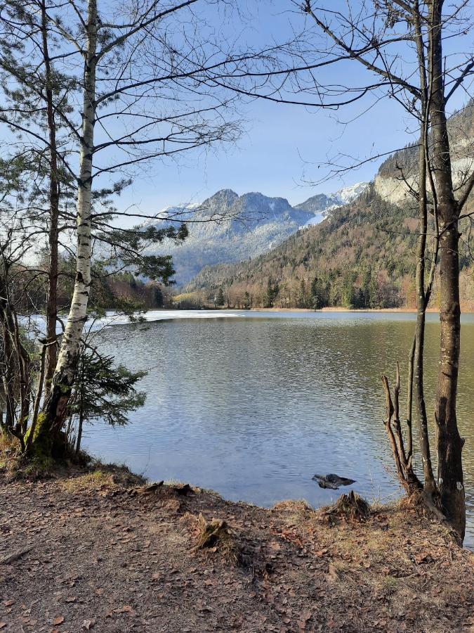 Hotel Haus Gmahblick Ferienwonungen Alpbach Zewnętrze zdjęcie