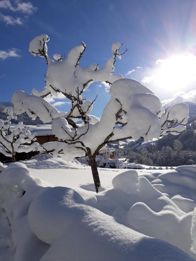 Hotel Haus Gmahblick Ferienwonungen Alpbach Zewnętrze zdjęcie