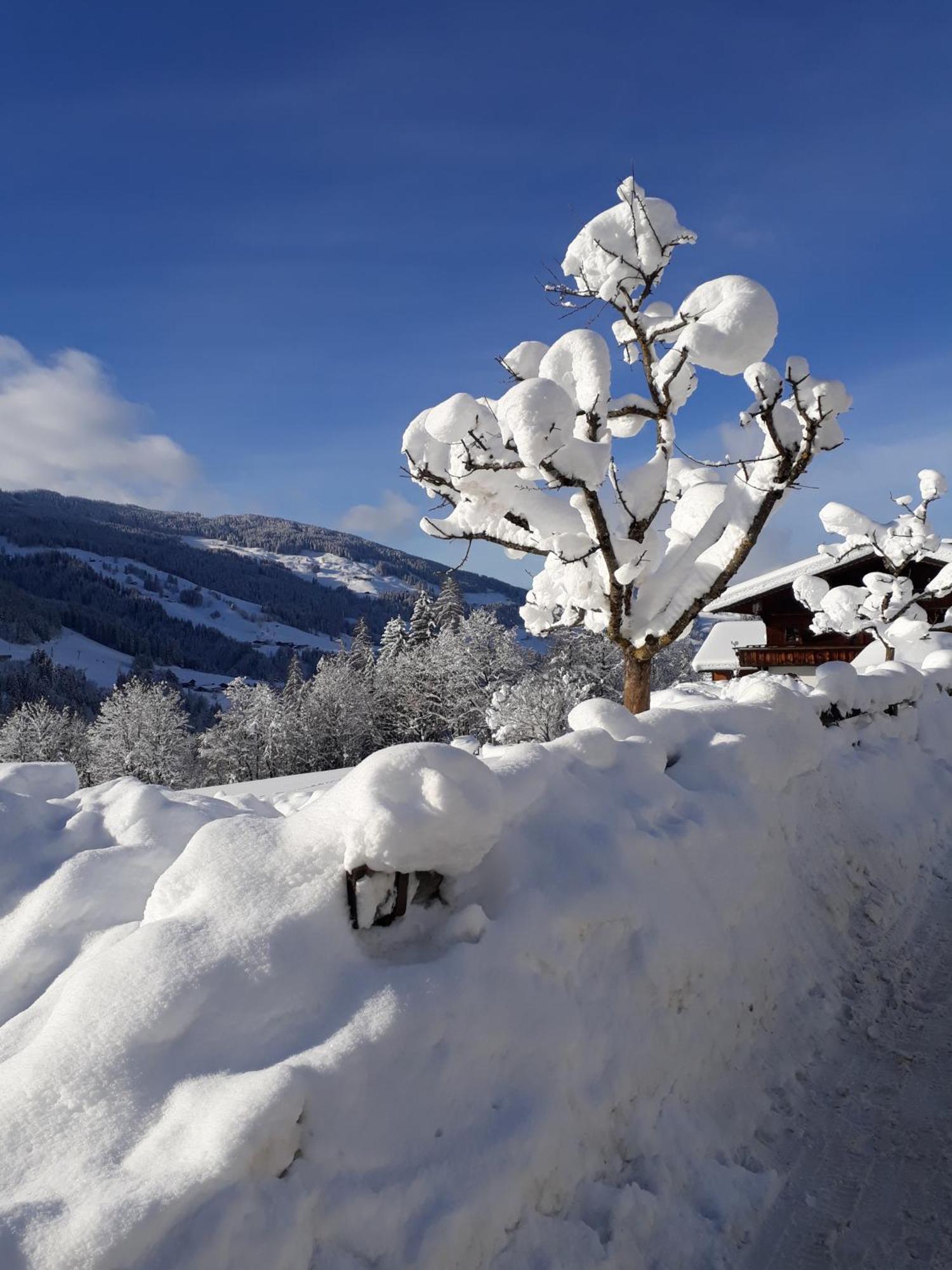 Hotel Haus Gmahblick Ferienwonungen Alpbach Zewnętrze zdjęcie
