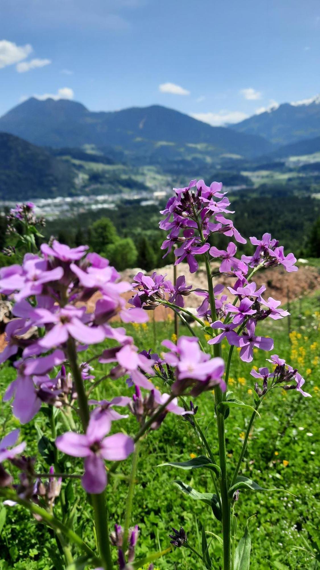 Hotel Haus Gmahblick Ferienwonungen Alpbach Zewnętrze zdjęcie